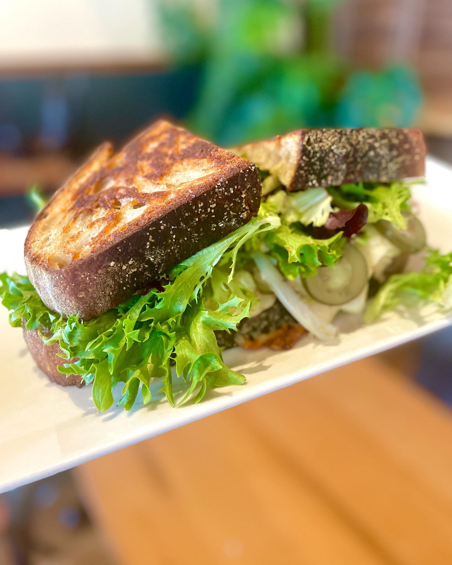 Grilled Tuna Melt with havarti cheese, Barnacle kelp pickles, onions, and mixed greens on our house sourdough bread. 

Get it while you still can!

.
.
@barnaclefoods