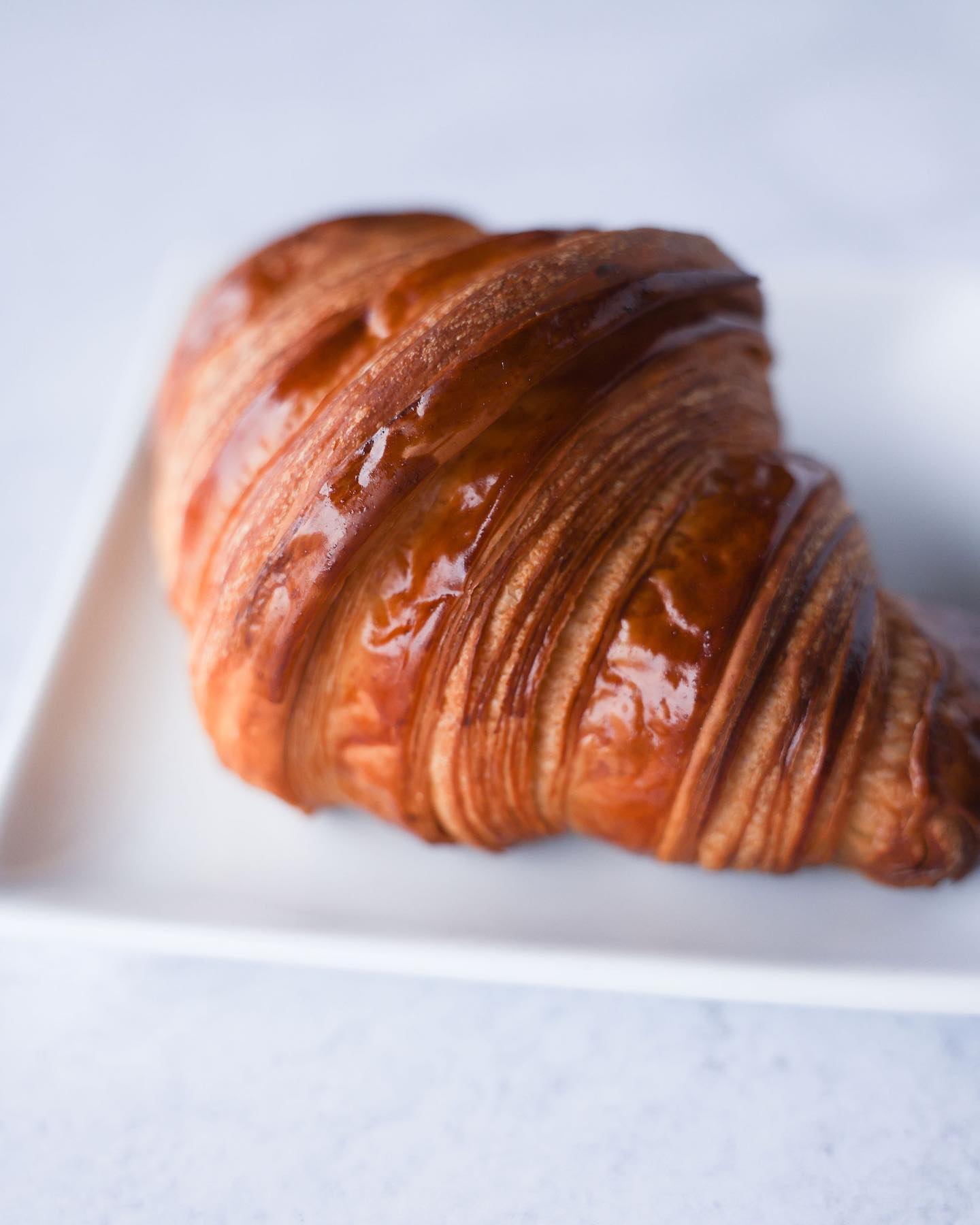 How many butter layers can you count on our croissants?

.
.
#wildflourbakery #wildflourcroissants #wildflourpastries #localbakery #alaskabakery #sitkaak