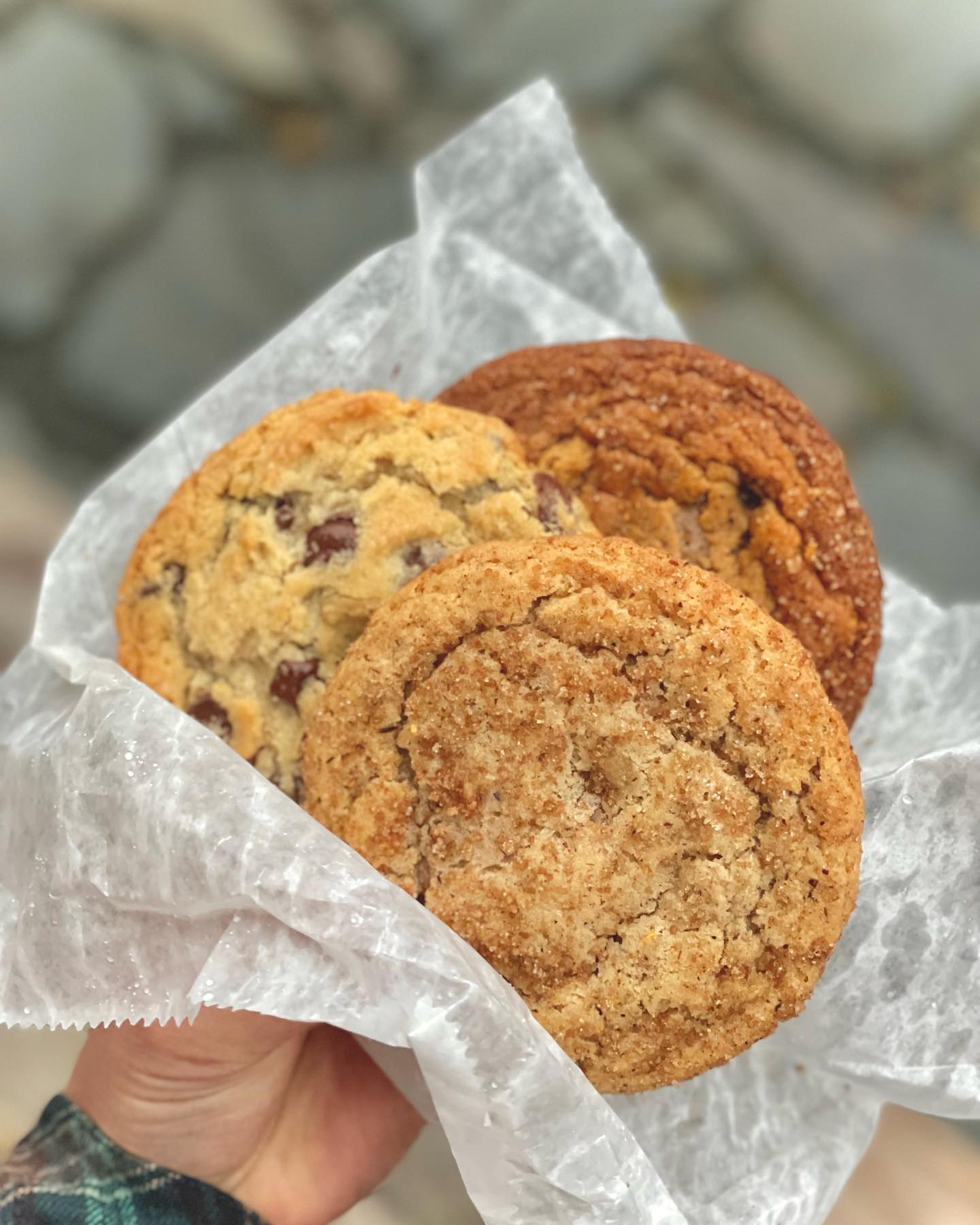 Cookie trio 🍪 
Ginger Molasses, Chocolate Chip, and Chai Browned Butter Snickerdoodle 
.
.
#sitkaalaska #alaskabakery #cookies